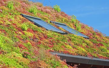 Leire living roof systems
